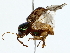  ( - BIOUG85459-C04)  @11 [ ] CreativeCommons - Attribution (2022) CBG Photography Group Centre for Biodiversity Genomics
