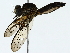  ( - BIOUG89941-F08)  @11 [ ] CreativeCommons - Attribution (2022) CBG Photography Group Centre for Biodiversity Genomics