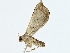  ( - BIOUG89942-F04)  @11 [ ] CreativeCommons - Attribution (2022) CBG Photography Group Centre for Biodiversity Genomics