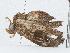  ( - CBG-A04457-A09)  @11 [ ] CreativeCommons - Attribution (2023) CBG Photography Group Centre for Biodiversity Genomics