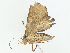  ( - CBG-A04513-H01)  @11 [ ] CreativeCommons - Attribution (2023) CBG Photography Group Centre for Biodiversity Genomics