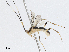  ( - CBG-A04447-F03)  @11 [ ] CreativeCommons - Attribution (2023) CBG Photography Group Centre for Biodiversity Genomics