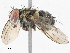  ( - CBG-A04449-A01)  @11 [ ] CreativeCommons - Attribution (2023) CBG Photography Group Centre for Biodiversity Genomics