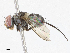  ( - CBG-A04449-A04)  @11 [ ] CreativeCommons - Attribution (2023) CBG Photography Group Centre for Biodiversity Genomics