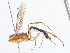  ( - CBG-A04479-B04)  @11 [ ] CreativeCommons - Attribution (2023) CBG Photography Group Centre for Biodiversity Genomics