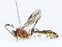  ( - CBG-A04479-E10)  @11 [ ] CreativeCommons - Attribution (2023) CBG Photography Group Centre for Biodiversity Genomics