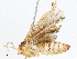  ( - CBG-A04541-A05)  @11 [ ] CreativeCommons - Attribution (2023) CBG Photography Group Centre for Biodiversity Genomics