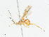  ( - CBG-A04543-F01)  @11 [ ] CreativeCommons - Attribution (2023) CBG Photography Group Centre for Biodiversity Genomics