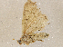  ( - CBG-A04544-C04)  @11 [ ] CreativeCommons - Attribution (2023) CBG Photography Group Centre for Biodiversity Genomics