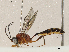  ( - CBG-A04544-F05)  @11 [ ] CreativeCommons - Attribution (2023) CBG Photography Group Centre for Biodiversity Genomics
