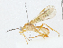  ( - CBG-A04595-C12)  @11 [ ] CreativeCommons - Attribution (2023) CBG Photography Group Centre for Biodiversity Genomics