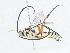  ( - CBG-A04595-E07)  @11 [ ] CreativeCommons - Attribution (2023) CBG Photography Group Centre for Biodiversity Genomics
