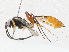  ( - CBG-A04597-B05)  @11 [ ] CreativeCommons - Attribution (2023) CBG Photography Group Centre for Biodiversity Genomics