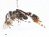 ( - CBG-A04597-C01)  @11 [ ] CreativeCommons - Attribution (2023) CBG Photography Group Centre for Biodiversity Genomics