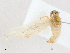  ( - CBG-A04597-F04)  @11 [ ] CreativeCommons - Attribution (2023) CBG Photography Group Centre for Biodiversity Genomics
