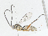  ( - CBG-A05374-F01)  @11 [ ] CreativeCommons - Attribution (2023) CBG Photography Group Centre for Biodiversity Genomics