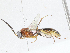  ( - CBG-A05375-G07)  @11 [ ] CreativeCommons - Attribution (2023) CBG Photography Group Centre for Biodiversity Genomics