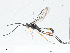  ( - CBG-A05375-G11)  @11 [ ] CreativeCommons - Attribution (2023) CBG Photography Group Centre for Biodiversity Genomics