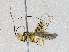  ( - CBG-A05376-E02)  @11 [ ] CreativeCommons - Attribution (2023) CBG Photography Group Centre for Biodiversity Genomics