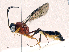  ( - CBG-A05376-E10)  @11 [ ] CreativeCommons - Attribution (2023) CBG Photography Group Centre for Biodiversity Genomics