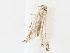  ( - CBG-A05398-B12)  @11 [ ] CreativeCommons - Attribution (2023) CBG Photography Group Centre for Biodiversity Genomics