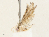  ( - CBG-A04570-A01)  @11 [ ] CreativeCommons - Attribution (2023) CBG Photography Group Centre for Biodiversity Genomics
