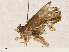  ( - CBG-A04570-A08)  @11 [ ] CreativeCommons - Attribution (2023) CBG Photography Group Centre for Biodiversity Genomics