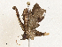  ( - CBG-A04570-B01)  @11 [ ] CreativeCommons - Attribution (2023) CBG Photography Group Centre for Biodiversity Genomics