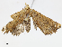  ( - CBG-A04571-F07)  @11 [ ] CreativeCommons - Attribution (2023) CBG Photography Group Centre for Biodiversity Genomics