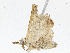 ( - CBG-A04571-G04)  @11 [ ] CreativeCommons - Attribution (2023) CBG Photography Group Centre for Biodiversity Genomics