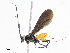  ( - CBG-A04571-H03)  @11 [ ] CreativeCommons - Attribution (2023) CBG Photography Group Centre for Biodiversity Genomics
