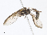  ( - CBG-A04572-D11)  @11 [ ] CreativeCommons - Attribution Share-Alike (2023) CBG Photography Group Centre for Biodiversity Genomics