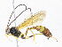  ( - CBG-A04599-B07)  @11 [ ] CreativeCommons - Attribution (2023) CBG Photography Group Centre for Biodiversity Genomics