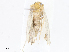  ( - CBG-A04599-E04)  @11 [ ] CreativeCommons - Attribution (2023) CBG Photography Group Centre for Biodiversity Genomics
