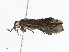  ( - CBG-A04601-A01)  @11 [ ] CreativeCommons - Attribution (2023) CBG Photography Group Centre for Biodiversity Genomics