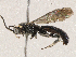  ( - CBG-A05377-C10)  @11 [ ] CreativeCommons - Attribution (2023) CBG Photography Group Centre for Biodiversity Genomics
