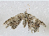  ( - CBG-A05399-C10)  @11 [ ] CreativeCommons - Attribution (2023) CBG Photography Group Centre for Biodiversity Genomics