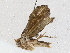  ( - CBG-A05399-E02)  @11 [ ] CreativeCommons - Attribution (2023) CBG Photography Group Centre for Biodiversity Genomics