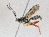  ( - CBG-A05399-F08)  @11 [ ] CreativeCommons - Attribution (2023) CBG Photography Group Centre for Biodiversity Genomics