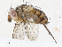  ( - CBG-A06198-B02)  @11 [ ] CreativeCommons - Attribution (2023) CBG Photography Group Centre for Biodiversity Genomics