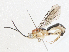  ( - CBG-A06198-C02)  @11 [ ] CreativeCommons - Attribution (2023) CBG Photography Group Centre for Biodiversity Genomics
