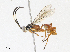  ( - CBG-A06199-A11)  @11 [ ] CreativeCommons - Attribution (2023) CBG Photography Group Centre for Biodiversity Genomics