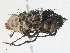  ( - CBG-A06199-F03)  @11 [ ] CreativeCommons - Attribution (2023) CBG Photography Group Centre for Biodiversity Genomics