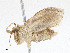  ( - CBG-A06199-G06)  @11 [ ] CreativeCommons - Attribution (2023) CBG Photography Group Centre for Biodiversity Genomics