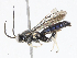  ( - CBG-A06246-C05)  @11 [ ] CreativeCommons - Attribution (2023) CBG Photography Group Centre for Biodiversity Genomics