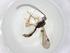  (Heterospilus Malaise0362 - CBG-A06683-A06)  @11 [ ] CreativeCommons - Attribution (2023) Centre for Biodiversity Genomics Centre for Biodiversity Genomics