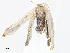  ( - CBG-A07061-G07)  @11 [ ] CreativeCommons - Attribution Share - Alike (2023) CBG Photography Group Centre for Biodiversity Genomics