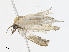  ( - CBG-A07085-C01)  @11 [ ] CreativeCommons - Attribution Share - Alike (2023) CBG Photography Group Centre for Biodiversity Genomics