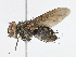  ( - CBG-A08744-F02)  @11 [ ] CreativeCommons - Attribution Share - Alike (2023) CBG Photography Group Centre for Biodiversity Genomics