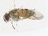  ( - CBG-A08746-D03)  @11 [ ] CreativeCommons - Attribution Share - Alike (2023) CBG Photography Group Centre for Biodiversity Genomics